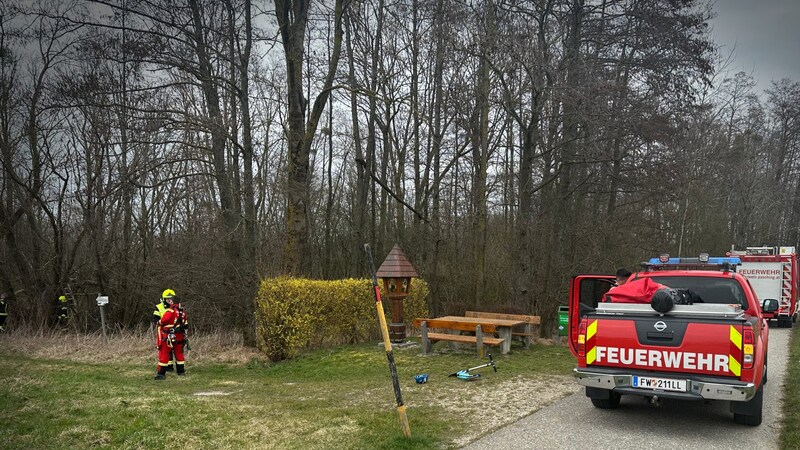 Mehrere Feuerwehren standen im Einsatz (Bild: FF Axberg)