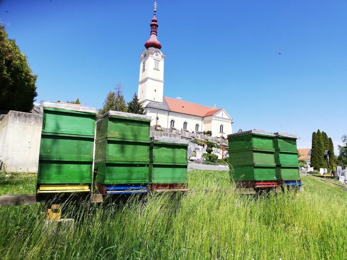 Beehives at the cemetery of the St. Veit parish in Graz.