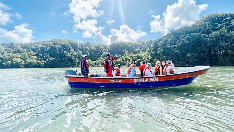 Bei einer Bootstour lassen sich die Ergebnisse der Aufforstung der Mangrovenwälder erkunden.  (Bild: Diana Krulei)