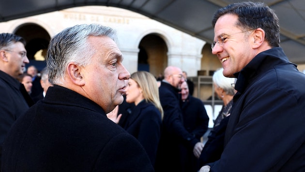 Le Premier ministre hongrois Viktor Orbán ne veut pas voir le Néerlandais Mark Rutte à la tête de l'OTAN. (Bild: APA/AFP/STEPHANIE LECOCQ)