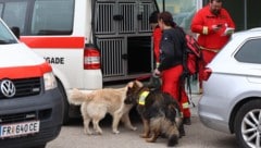 Auch die Suchhundestaffel des Roten Kreuz war im Einsatz. Ein Mitglied der Feuerwehr wurde schließlich fündig. (Bild: laumat)