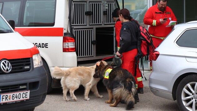 L'équipe canine de la Croix-Rouge a également été mobilisée. Un membre des pompiers a finalement trouvé ce qu'il cherchait. (Bild: laumat)