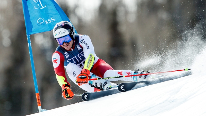 Patrick Feurstein impressed in the preparation with a victory and a second place in the South American Cup. (Bild: GEPA pictures)