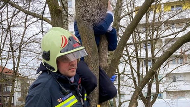 Firefighters rescued the boy (Bild: FF Wels)