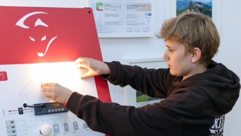 Das Ziel fest im Blick: Felix (13) will sich bald mit Systemen fürs Energie-Management beschäftigen, hat aber noch eineinhalb Jahre Schule vor sich. (Bild: Hölzl Roland)