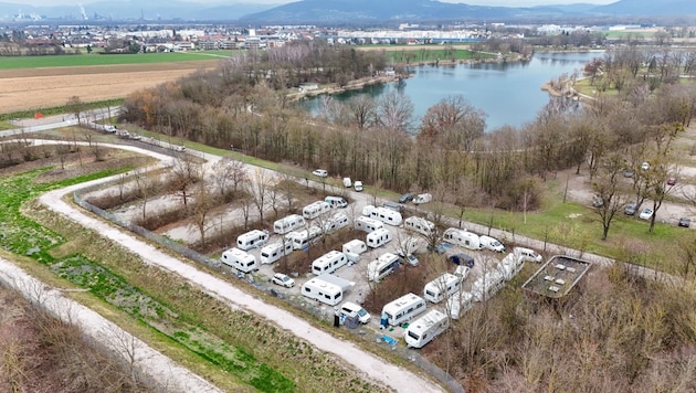 Der Durchreiseplatz in Pichling ist seit 13. Jänner rappelvoll.  Anfang der Woche wurde der Grillplatz (die zwei leeren Reihen links im Bild) mit Betonsperren versehen. (Bild: Dostal Harald)