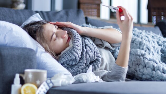 Dang hummasının belirtileri grip benzeri (sembolik resim). (Bild: Andrii Starunskyi. stock.adobe.com / KroneMED)