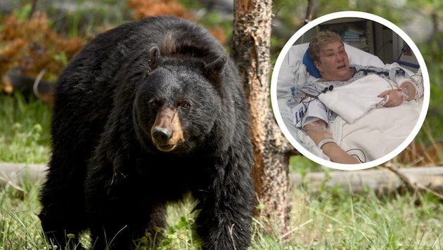 La femme a survécu à l'attaque de l'ours. (Bild: kameraone)