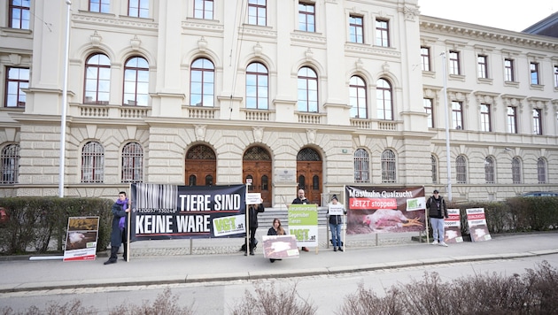 The Association Against Animal Factories demonstrated against the operators before the trial (Bild: VGT.at)