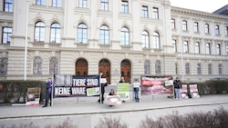 Der Verein gegen Tierfabriken demonstrierte vor dem Prozess gegen die Betreiber (Bild: VGT.at)