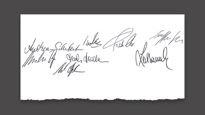 Die Bürgermeister oder die von Ihnen autorisierten Vizebürgermeister oder Geschäftsführenden ...