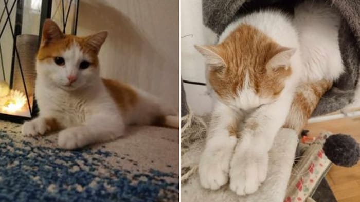 Der kleine Ausreißer wird gesucht!