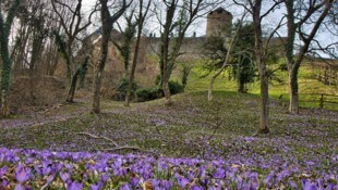 Die Steiermark beginnt wieder zu blühen und es lockt Wanderlustige hinaus in die Natur. Eine Wanderung zur Burg Deutschlandsberg. (Bild: Weges)