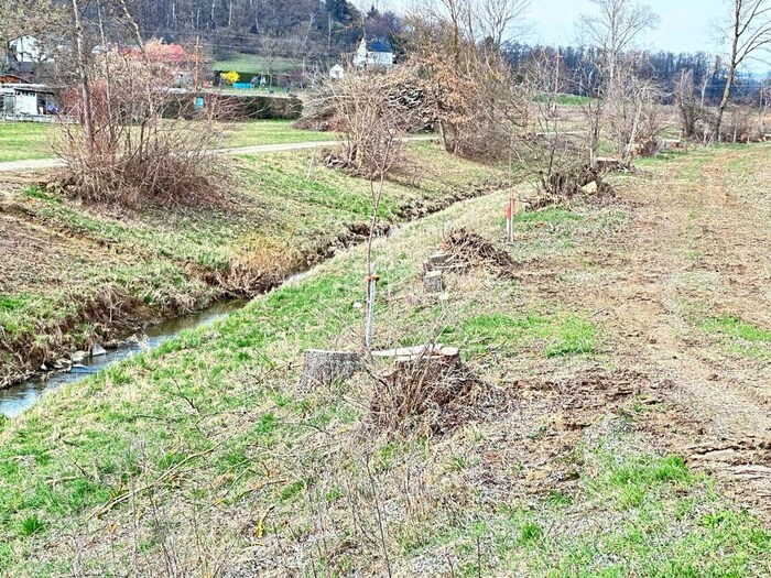 148 trees were uprooted in the Zickenbach recreational area in Güssing.