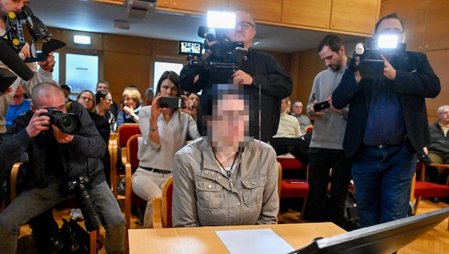 The accused owner in court. (Bild: Dostal Harald, Krone KREATIV)
