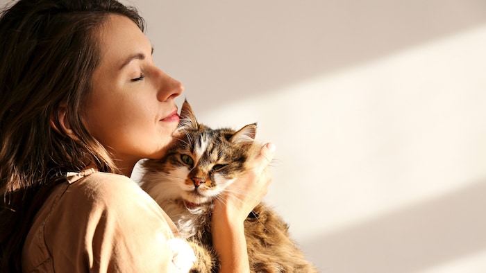 Besonders beliebt bei den Österreichern: die Katze.