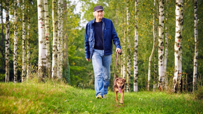 Für Hundebesitzer gibt es kaum etwas Schöneres, als mit ihrem Vierbeiner durch Wald und Wiesen ...