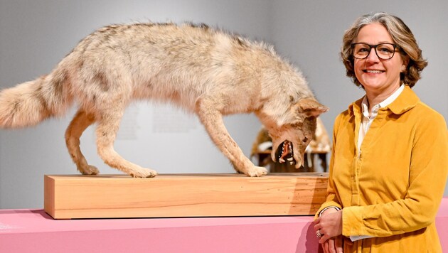 Mona Horncastle gestaltete eine gelungene Ausstellung mit tollen Tierszenen (Bild: Dostal Harald)