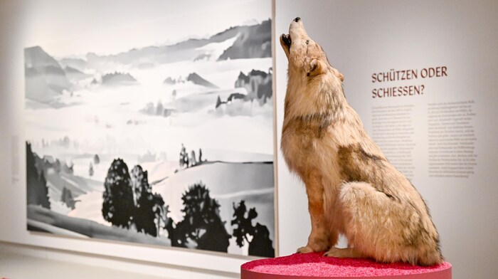 Blick in die Ausstellung