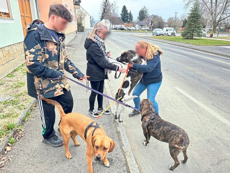 Elvin S. mit seiner Mutter, seiner Schwester und jenen drei Hunden, die überlebten. (Bild: Christian Schulter, Krone KREATIV)