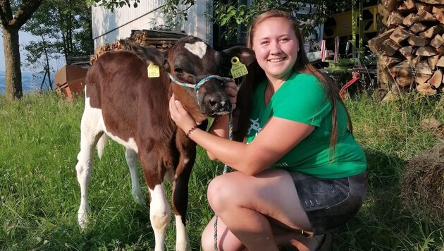 Dorfhelferin Steffi Kinast kümmert sich hier um ein Kalb. Das ist aber bei Weiterm nicht die einzige Tätigkeit, die die der Job erfordert. Denn der Bauernhof erfordert ein breites Spektrum an Können, das dort gefordert ist. (Bild: NLK)