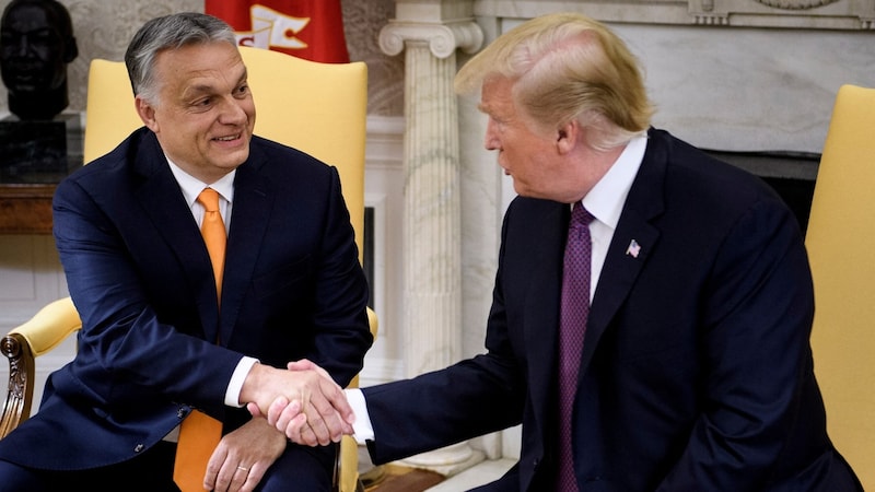 Orbán und Trump stehen sich politisch nahe. (Bild: AFP)