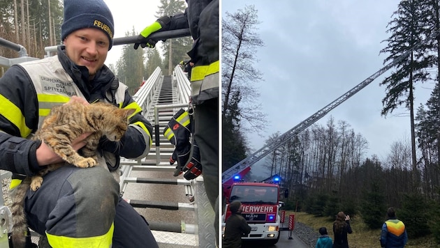 Group commander Lucas Weger was able to rescue the cat. (Bild: FF Spittal/Drau)