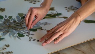 Jede Blüte wird zuerst aufs Papier gelegt und dann geklebt.