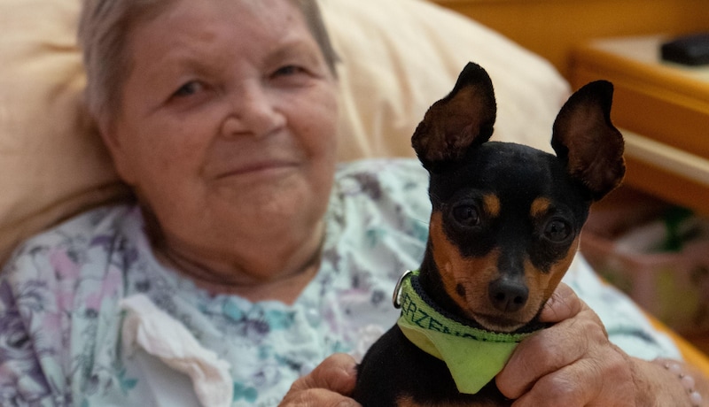 Egal ob „Lilly“ oder „Abby“ bei den kranken und alten Bewohnern des Pflegezentrums in Pottendorf vorbei- schauen: Alle beginnen zu lächeln... (Bild: Charlotte Titz)