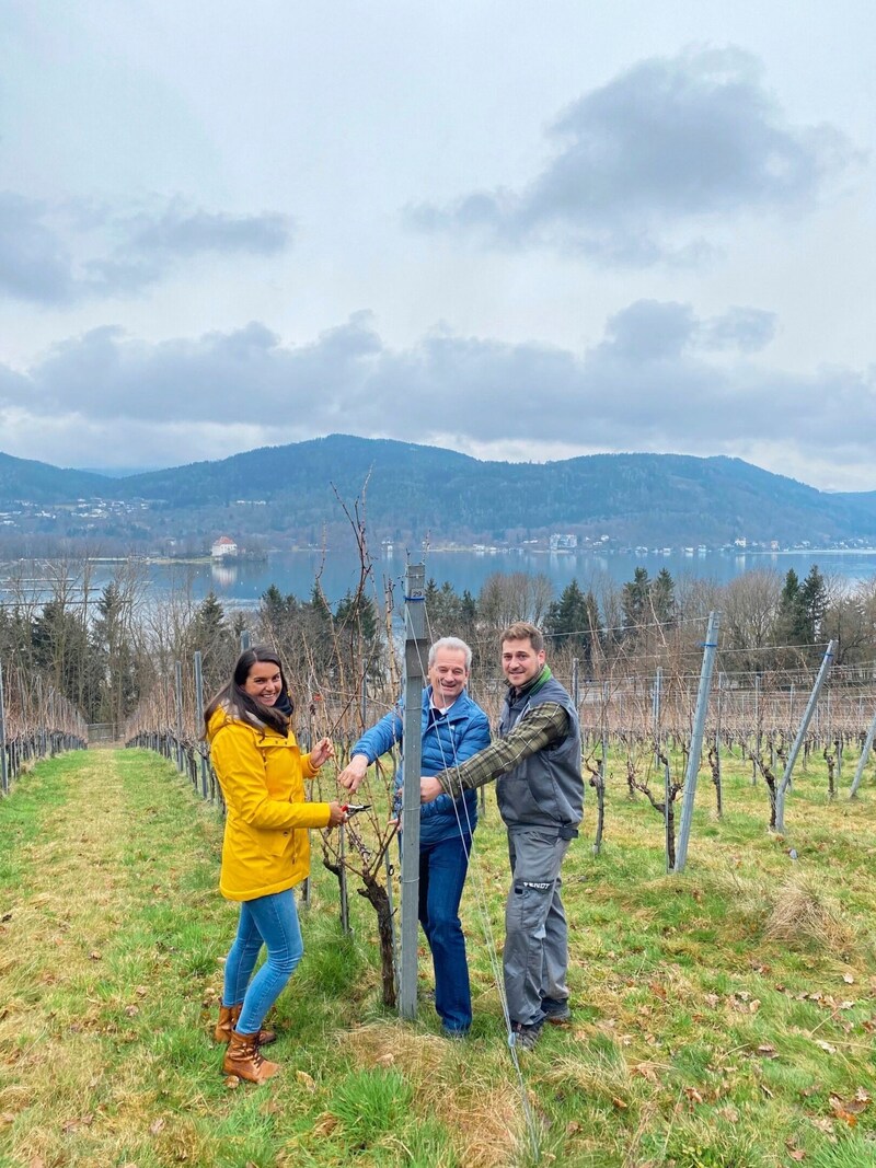 Die „Krone“ mit den Winzern Horst Wild und Martin Kulterer auf der Ried Seewiese. (Bild: Georg Lexer)