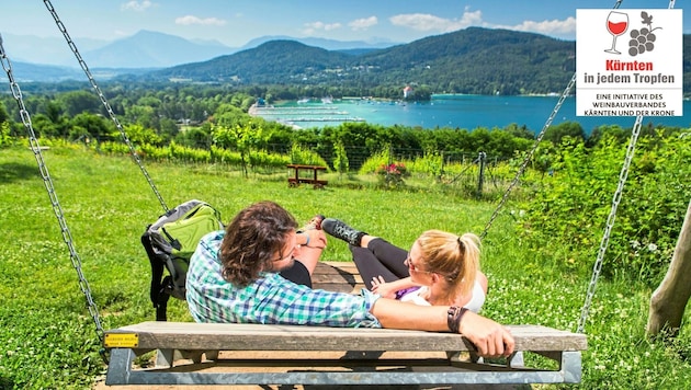 Die Ried Seewiese bietet nicht nur eine Traumkulisse, sondern auch Platz für einen Weingarten mit tausenden Reben. (Bild: Franz Gerdl)