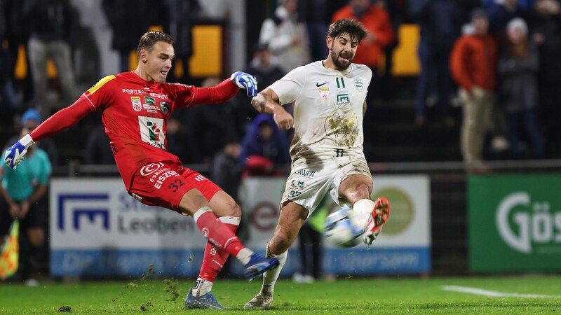 War am Ende der vergangenen Saison Stammkeeper: Gütlbauer. (Bild: GEPA pictures)