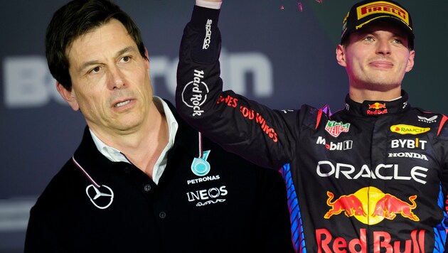 Will Toto Wolff (left) and Max Verstappen soon be working together? (Bild: AP, AFP)