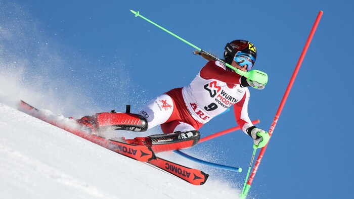 Katharina Gallhuber
