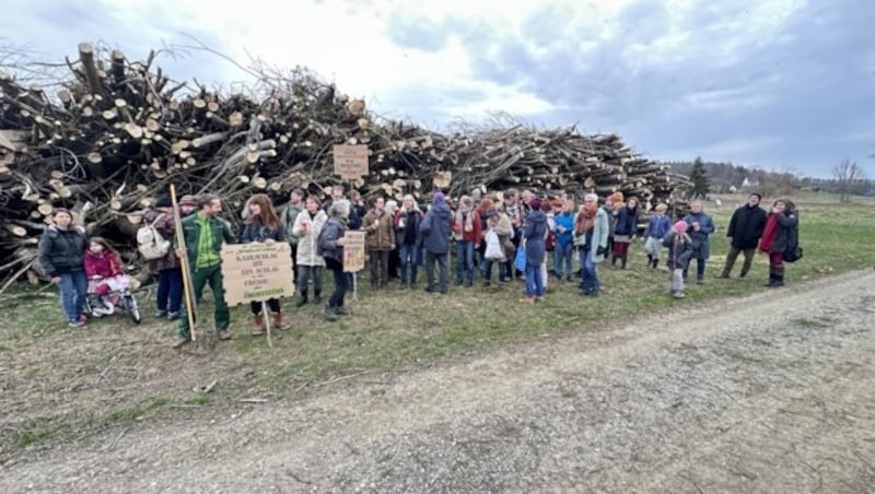 Naturschützer setzen auf sanften Protest gegen abgeholzte Bäume. (Bild: Schulter Christian)