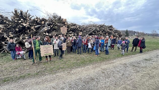 Nature lovers mourn the loss of the trees. (Bild: Schulter Christian)