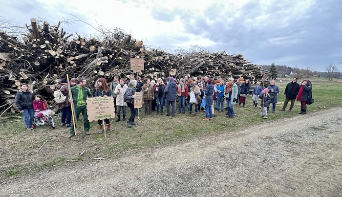 Naturschützer setzen auf sanften Protest gegen abgeholzte Bäume.