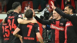 Leverkusen durfte erneut jubeln (Bild: APA/AFP/INA FASSBENDER)