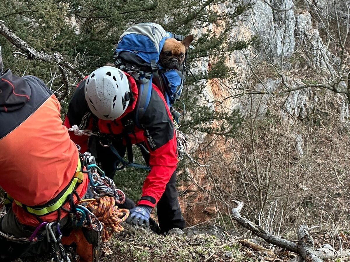 (Bild: APA/BERGRETTUNG HOHE WAND)