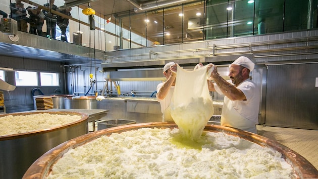 Vor allem für die Käseproduktion bringt Heumilch Vorteile. (Bild: Weiss PR & Media/ Christian Forcher)