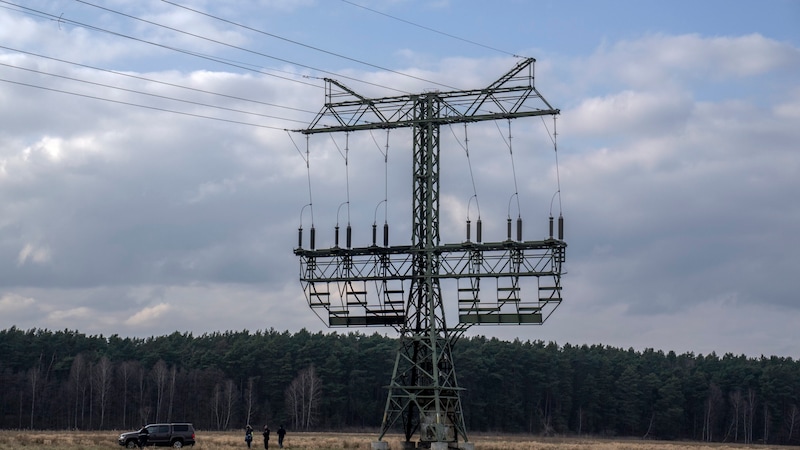 Das Tesla-Werk in Grünheide bei Berlin wird seit Montagabend wieder mit Strom versorgt. (Bild: AP)