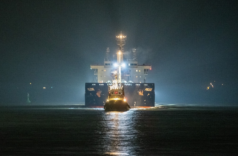 Das mit Stahlblechen beladene Küstenmotorschiff „Verity“ und der mit 190 Metern Länge größere Frachter „Polesie“ waren in der Deutschen Bucht rund 22 Kilometer südwestlich von Helgoland kollidiert. Die „Verity“ sank daraufhin schnell. (Bild: AFP or licensors)