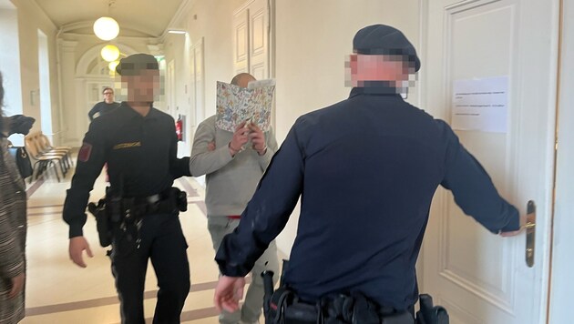 Le Viennois peu avant son procès pour violences massives. (Bild: Sophie Pratschner, Krone KREATIV)