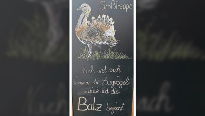 Where other impressions are also part of the backdrop to the club conference: Guests in bathrobes, for example, or this information about the great bustard. (Bild: Zwefo)