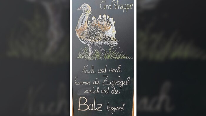 Wo auch andere Impressionen zur Kulisse der Klubtagung dazugehören: Gäste in Bademänteln zum ...