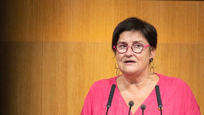 Parlamentarierin Petra Bayr verging das Lächeln.