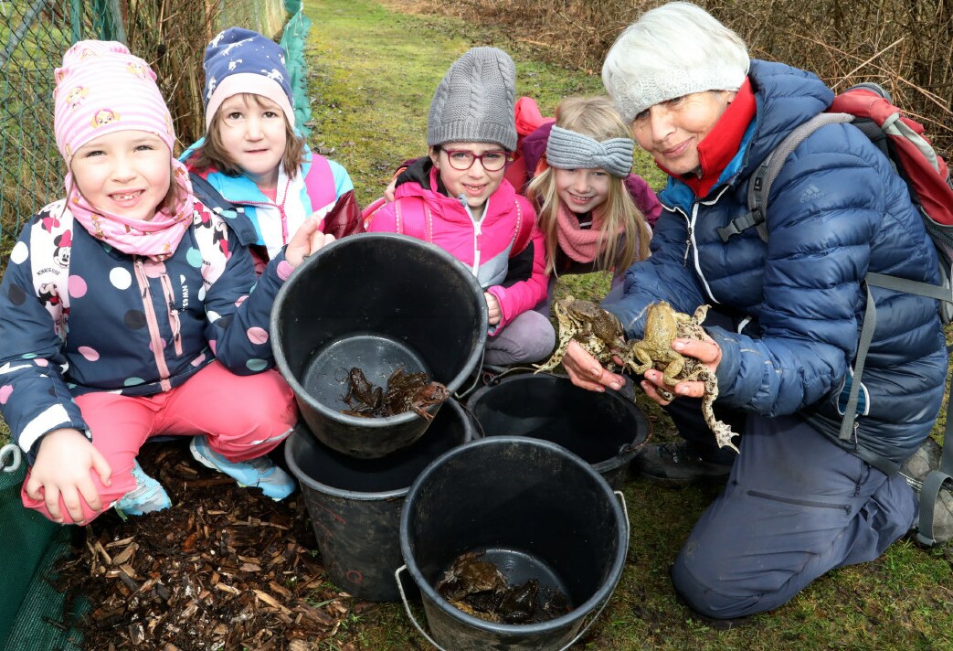 Den Burschen und Mädchen der Volksschule Bad Eisenkappel macht das Retten von Fröschen und ...