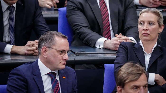 Alice Weidel in the Bundestag
