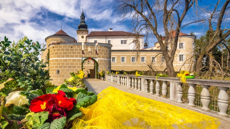 Traditionelles Brauchtum und österliches Kunsthandwerk findet sich beim Frühlingserwachen im Renaissanceschloss Weinberg in Kefermarkt. Kosten: 4 Euro Datum: Samstag, 16. März, und Sonntag, 17. März, 9 bis 17 Uhr Infolink: www.bildungsschloesser.at (Bild: Richard Schramm)