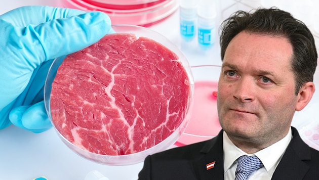 Agriculture Minister Norbert Totschnig (ÖVP) is skeptical about lab-grown meat, but many Austrians would apparently have no problem with it on their plates. (Bild: tilialucida - stock.adobe.com, Krone KREATIV)